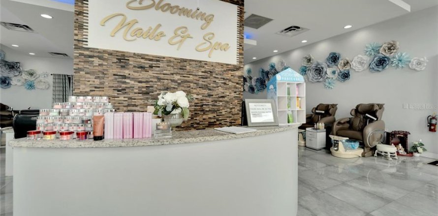 Immobilier commercial à Valrico, Floride № 1334993