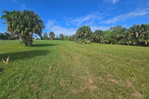 Land in Punta Gorda, Florida № 2160522 - photo 6