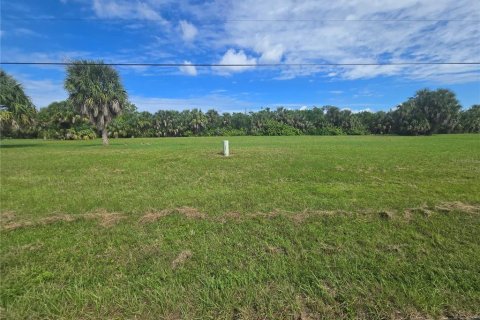 Land in Punta Gorda, Florida № 2160522 - photo 5