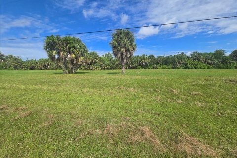 Land in Punta Gorda, Florida № 2160522 - photo 7