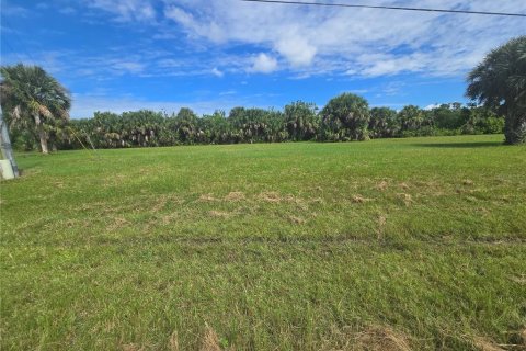 Land in Punta Gorda, Florida № 2160522 - photo 3
