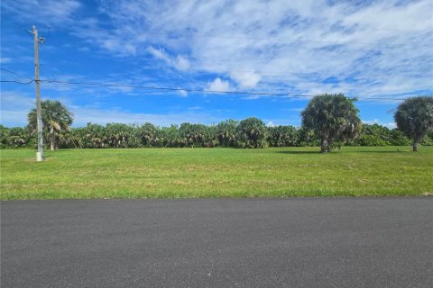 Land in Punta Gorda, Florida № 2160522 - photo 4