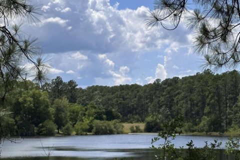 Land in De Funiak Springs, Florida № 562177 - photo 1