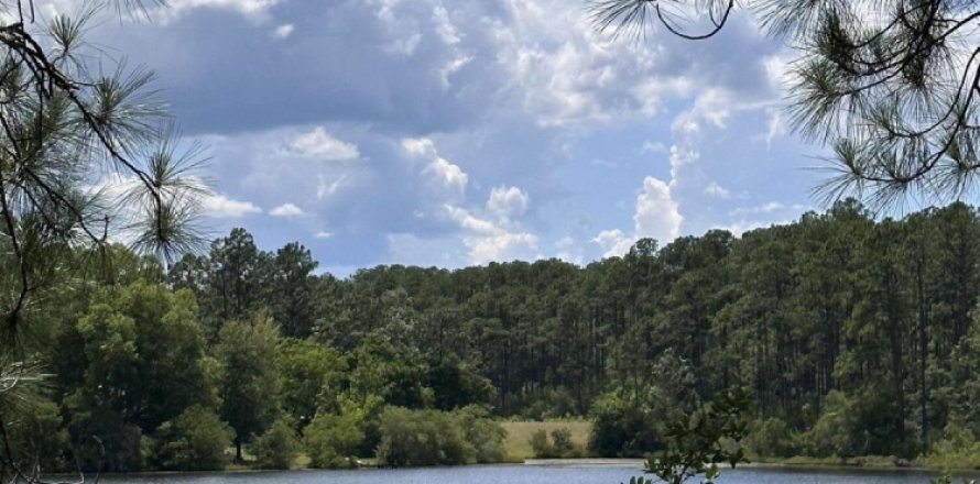 Land in De Funiak Springs, Florida № 562177