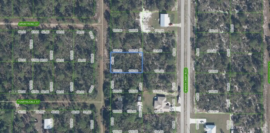 Immobilier commercial à Sebring, Floride № 2182924
