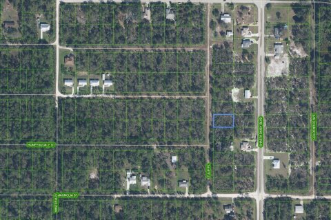 Immobilier commercial à vendre à Sebring, Floride № 2182924 - photo 2