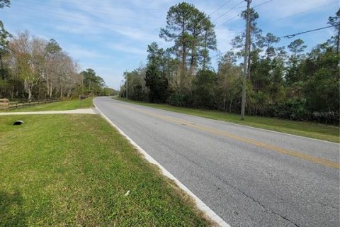 Land in Orlando, Florida № 348227 - photo 6