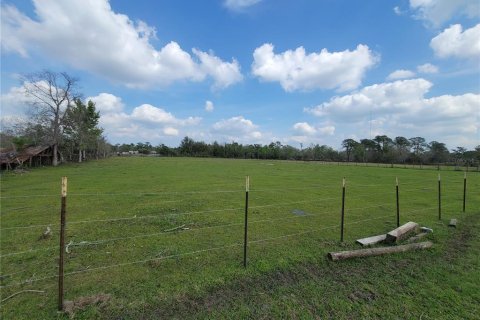 Land in Orlando, Florida № 348227 - photo 19