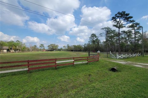 Land in Orlando, Florida № 348227 - photo 5