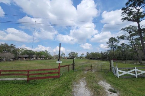 Land in Orlando, Florida № 348227 - photo 1