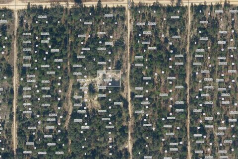 Land in Interlachen, Florida № 2212412