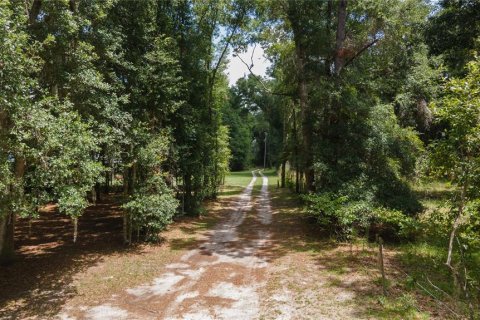 Land in Micanopy, Florida № 1298497 - photo 2