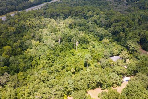 Land in Micanopy, Florida № 1298497 - photo 12