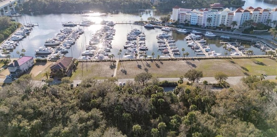 Terreno en Palm Coast, Florida № 1743531