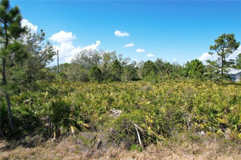 Land in North Port, Florida № 2218870 - photo 6
