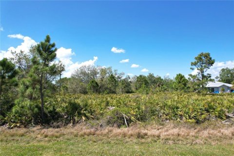 Land in North Port, Florida № 2218870 - photo 7