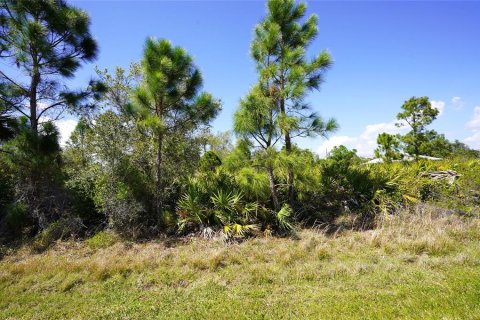 Land in North Port, Florida № 2218870 - photo 5