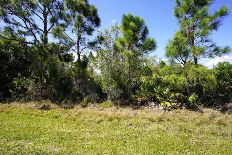 Land in North Port, Florida № 2218870 - photo 4