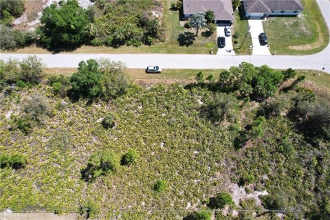 Land in North Port, Florida № 2218870 - photo 10