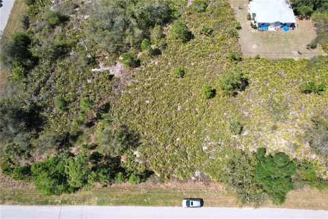 Land in North Port, Florida № 2218870 - photo 8