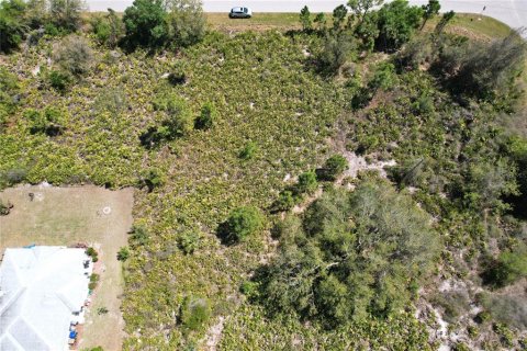Land in North Port, Florida № 2218870 - photo 9