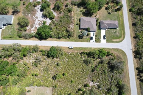 Land in North Port, Florida № 2218870 - photo 11