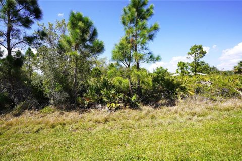 Land in North Port, Florida № 2218870 - photo 3