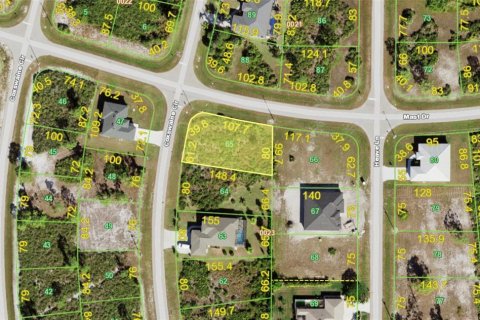 Land in Placida, Florida № 2394451 - photo 2