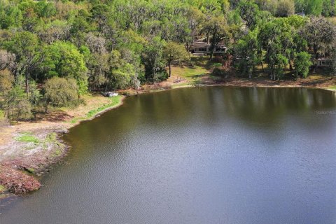 Land in Brooksville, Florida № 2310101 - photo 5