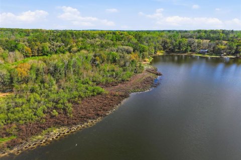 Land in Brooksville, Florida № 2310101 - photo 19