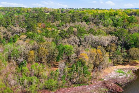 Land in Brooksville, Florida № 2310101 - photo 17