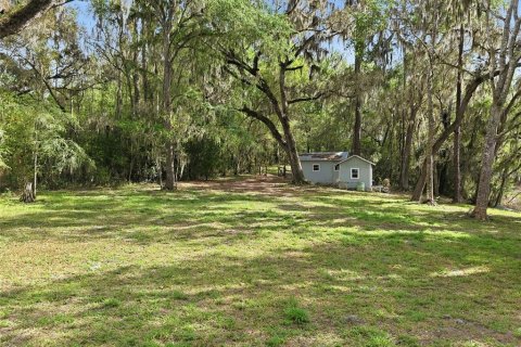 Land in Brooksville, Florida № 2310101 - photo 4