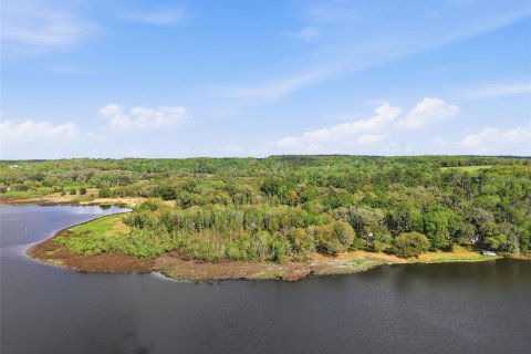 Land in Brooksville, Florida № 2310101 - photo 6