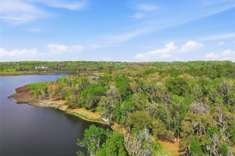 Land in Brooksville, Florida № 2310101 - photo 14