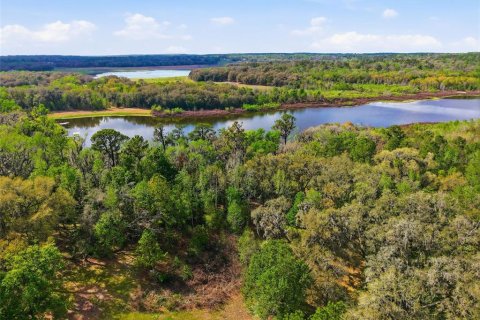Land in Brooksville, Florida № 2310101 - photo 22
