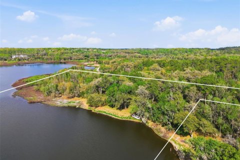 Land in Brooksville, Florida № 2310101 - photo 2