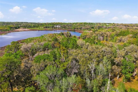 Land in Brooksville, Florida № 2310101 - photo 13