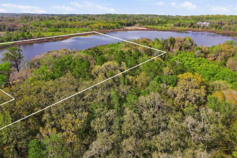 Land in Brooksville, Florida № 2310101 - photo 7