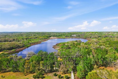 Land in Brooksville, Florida № 2310101 - photo 25