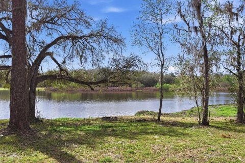 Land in Brooksville, Florida № 2310101 - photo 3