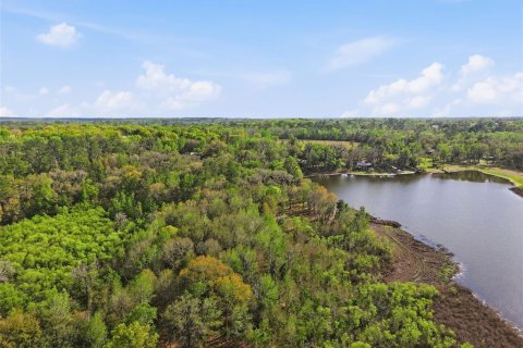 Land in Brooksville, Florida № 2310101 - photo 10