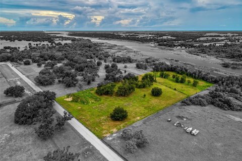 Terrain à Myakka City, Floride № 2284934