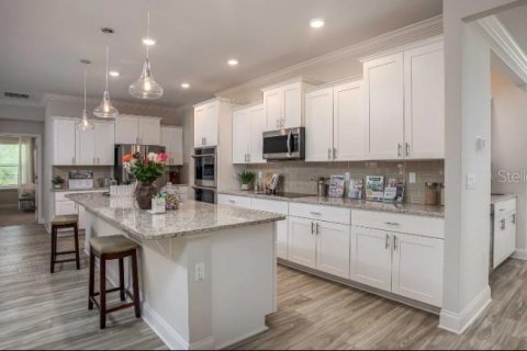 House in Thonotosassa, Florida 4 bedrooms, 290.78 sq.m. № 1841894 - photo 3