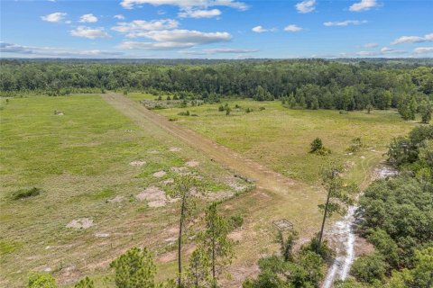 Terrain à vendre à Palatka, Floride № 1778880 - photo 4