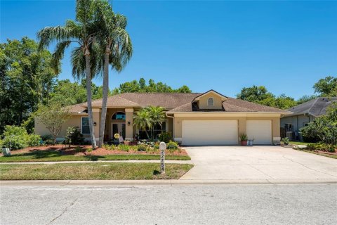 House in Lutz, Florida 4 bedrooms, 211.91 sq.m. № 2211458