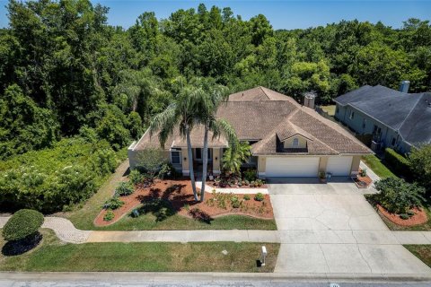 House in Lutz, Florida 4 bedrooms, 211.91 sq.m. № 2211458 - photo 2