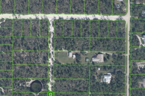Land in Sebring, Florida № 2159879 - photo 9
