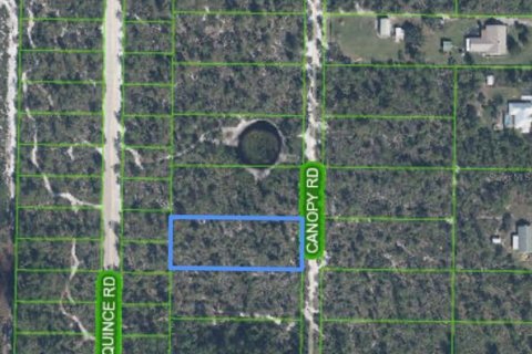 Land in Sebring, Florida № 2159879 - photo 2