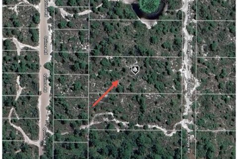 Land in Sebring, Florida № 2159879 - photo 3
