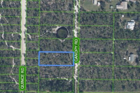 Land in Sebring, Florida № 2159879 - photo 8